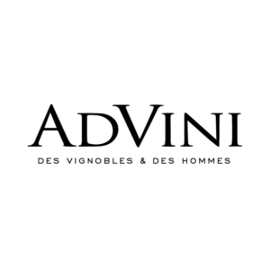 LOGO ADVINI