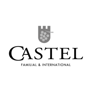 LOGO CASTEL